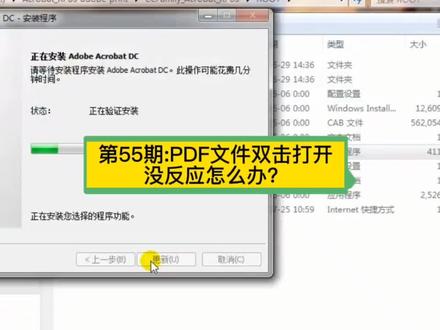 第55期:PDF文件双击打不开怎么办?#PDF文件双击打不开怎么办 #PDF双击打不开怎么回事