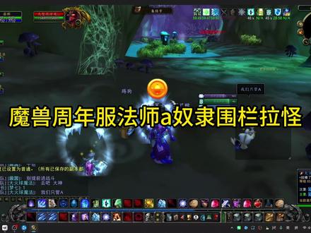 魔兽世界周年服:奴隶围栏AA队法师拉怪教学