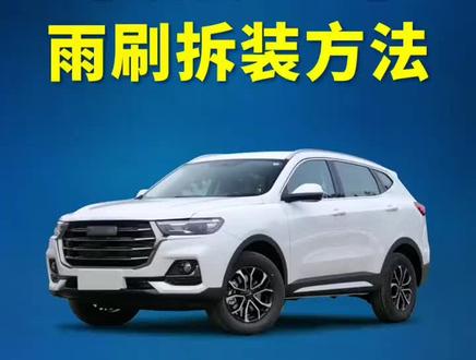 哈弗H6替换方法,接口很多种,购买五次清楚自己年份型号哦#汽车知识分享