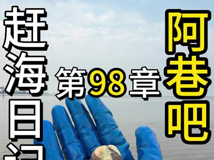 海边又回归平淡了! #vlog日常 #赶海 #美食