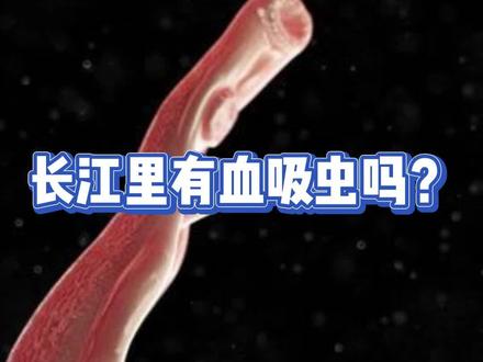 长江里面有血吸虫吗#血吸虫 #知识科普 #有趣的知识又增长了