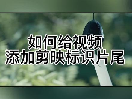 如何给视频添加剪映标识片尾#手机摄影 #剪映 #剪映视频制作