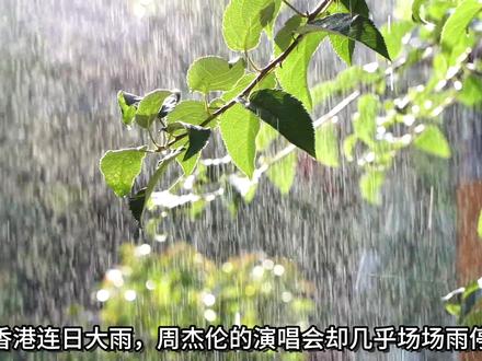 周杰伦全专辑品鉴16:太阳之子丨“巴味”回归的同时也有争议 #周杰伦 #周杰伦新专辑 #周杰伦太阳之子 #周杰伦新歌 #中视频伙伴计划