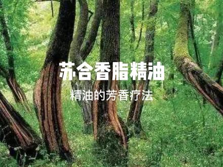 苏合香脂精油的功效与作用#植物精油 #精油护肤 #精油芳疗