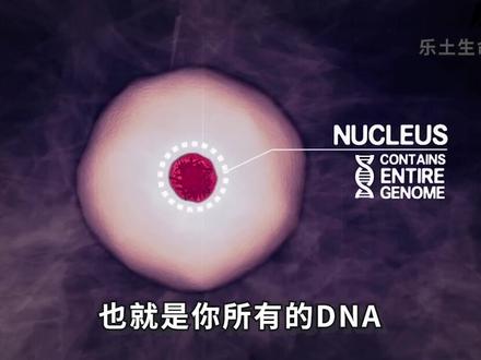 我们身体的说明书:DNA #基因 #dna #科普知识
