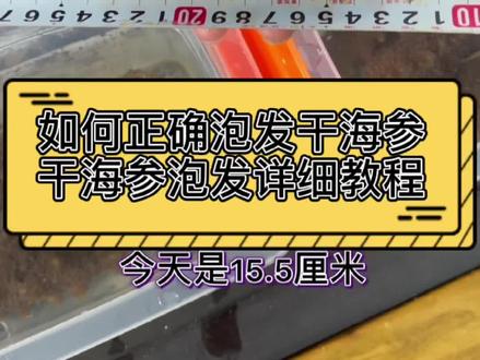 如何正确泡发#海参 ,#干海参 的泡发详细教程,#野生海参#海参泡发教程 #海参泡发 #泡发海参