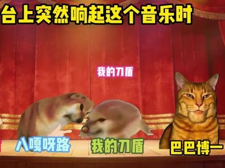 当你和兄弟们在台上响起这首歌时#猫meme #我的刀盾