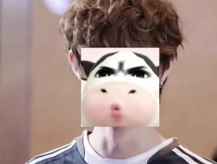 #他泰#噗帕#surfjava #teeteepor #kengnamping #jimmyohm