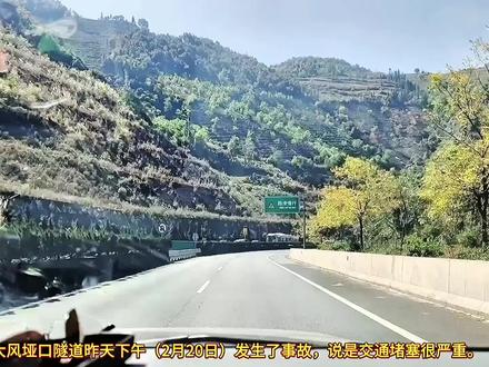 交通安全提示#交通安全人人有责