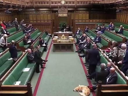 英国政府拒绝谴责美国强掳马杜罗,英国议员当场质问:难道你们是特朗普养的狗?