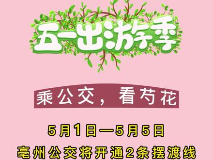 五一假期,乘公交,看芍花