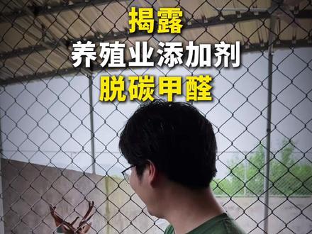 养殖户离不开脱碳甲醛(一氧化二氢) #农村生活 #新农人 #梅花鹿养殖 #养鹿人