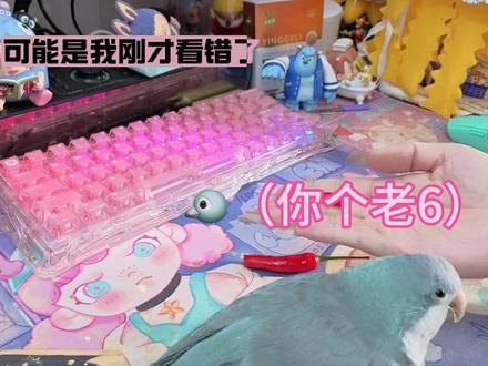 当我让ai看着小鸡,有没有偷吃辣椒…… #上热门 #让AI看着宠物别吃零食 #创作者扶持计划 #豆包 #鹦鹉鹦鹉萌萌哒逗鹦鹉