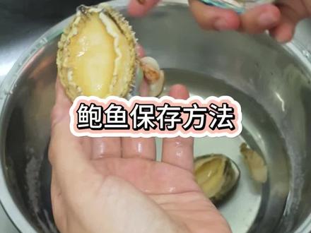 新鲜鲍鱼保存方法#鲍鱼汤#日常vlog