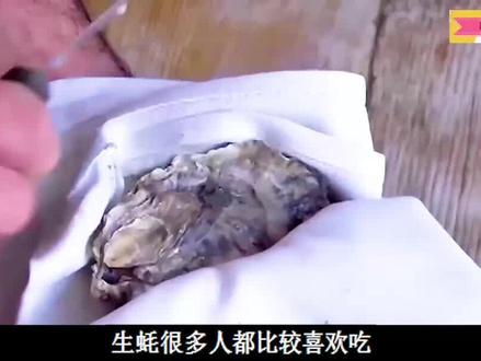 能实现生蚝自由,它是如何人工养殖的? #生蚝 #海鲜美食 #生蚝养殖 #科普知识