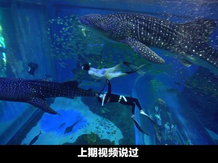 紧接上期!我在水下吸了空气,为什么我没有炸肺呢? #潜水 #科普 #旅行大玩家
