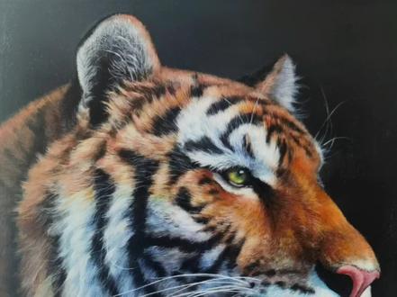 画个凶猛的老虎#手绘 #老虎🐯 #原创 #油画 #丙烯 #丙烯手绘 #画画 #丙烯画教程 #艺术 #美术生