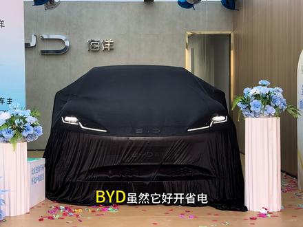 终于解决了困扰比亚迪车友,噪音大、隔音差,车内容易进灰尘的问题,没装的比亚迪车有可以安排上#比亚迪#车内密封条 #比亚迪海豚 #比亚迪宋plusdmi #比亚迪汉
