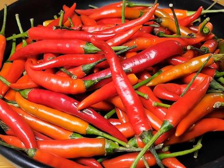 这才是保存小米辣的正确方法,放一年还新鲜,方法太实用了