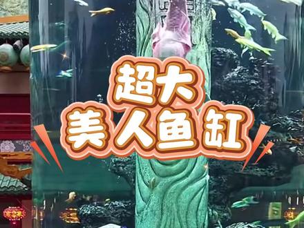 普宁人速看❗️#普宁国际商品城 「赛博街」在建超大型美人鱼表演观赏装置~不用跑北上广,在家门口看真人美人鱼水下表演🧜♀️ 评论区许愿你想玩的项目👇 #普宁 #美人鱼 #普宁去哪玩