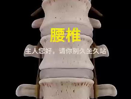 主人您好,我是您的腰椎,请你别久坐久站,不妨过来听听心声#科普 #人体结构 #科普一下 #每天跟我涨知识