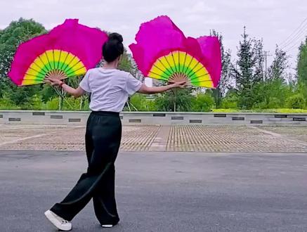 #扇子舞 #户外 #简单易学 #扇子舞红梅赞背面完整版