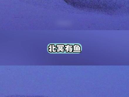 原来鲲鹏是真的存在的 #逍遥游 #候鸟 #神奇的大自然