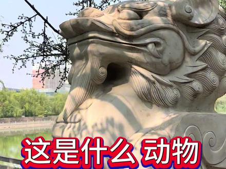 龙生九子—獬豸#独角兽