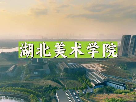 湖北美术学院 湖北美术学院是中部地区唯一的高等美术学府,办学历史超百年。其前身为1920年创办的武昌美术学校,历经多次更名与变迁,1985年独立组建为湖北美术学院 。学校坐拥藏龙岛、昙华林两大校区,共占地44万余平方米。现有教职工700余人,各学历层次在校生8000余人。设有15个本科教学单位,开设29个本科专业,覆盖美术学类、设计学类等8个专业类。拥有3个一级学科硕士学位授权点与2个硕士专业学位授权点 。学校师资力量雄厚,有多位享受国务院政府特殊津贴等荣誉的教师 。教学成果丰硕,建有多个国家级特色专业、一流本科专业建设点及省级相关教学项目。秉持“兼收并蓄”精神,培养众多优秀美术人才 。