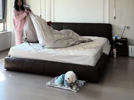 高龄36岁孕妇 28周➕4的乌罗哥~#无锡 #孕期 #日常vlog #无锡杜麻麻传媒 #极品气质美女