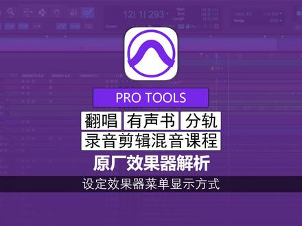 【第2章第2期】设定效果器菜单显示方式 | Pro Tools 软件入门教程 | 录音剪辑混音编曲软件 抖音上仅分享基础讲解视频,如果觉得本人的课程制作的还不错,可以浏览器上搜索“乐绘派”,进入网站观看进阶课程!或者也可以私信本人咨询“1对1私人定制课程”,和我本人直接学习,特别适合新手小白,避免走弯路!#混音教程#后期教程#效果器教程#录音教程