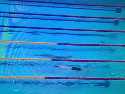 张展硕800米冠军,个人第四金。#游泳比赛