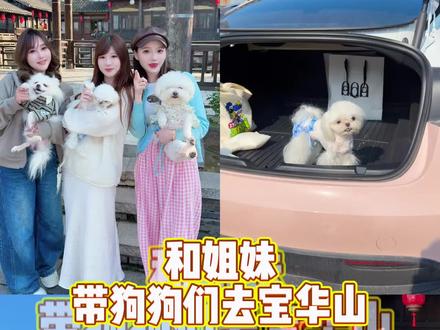 别让你的狗狗成为留守小狗,这个五一就冲宝华山!#萌宠趣游宝华山#爪爪运动会宝华山撒春季 #五一超会玩计划 #南京周边游 #南京吃喝玩乐