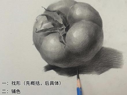 欢迎来到七一小课堂 今天画西红柿#素描静物 #素描 #零基础学画画 #素描基础 #跟着抖音学画画
