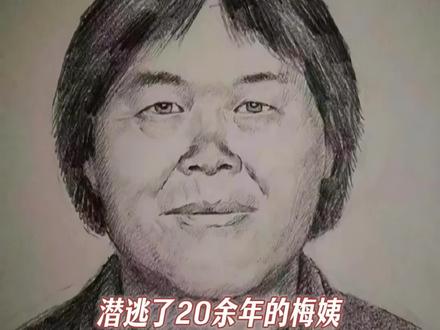 犯人终会落网,孩子终会回家 #梅姨 #梅姨落网 #打拐 #正义 #发声