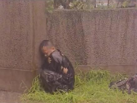 #原创剪辑 #抖音小助手 #怀念三毛 三毛找到了妈妈还没过上好日子就发现并不是亲妈