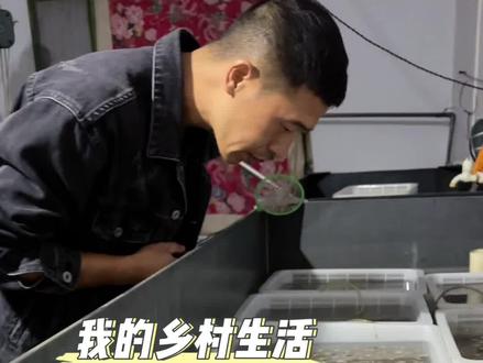 这些正在孵化的小娃娃鱼长大到三斤,需要四年时间… #宝藏大鲵 #娃娃鱼 #大鲵 #三农 #记录真实生活