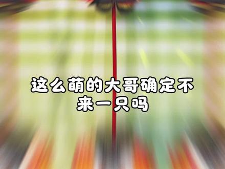 虽然有些翻车,但是我还是很爱你的
大哥的一群小迷弟们
#手工diy #不织布#不织布娃娃#鬼灭之刃#炼狱杏寿郎