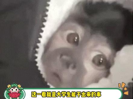 不怪他 他真不懂#搞笑 #大学生 #万万没想到 #娱乐评论大赏
