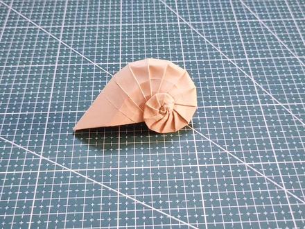 海洋中的活化石-鹦鹉螺!教你用一张纸折出来 #折纸教程 #手工 #免费鉴号送流量 #艺术#眼会手不会系列