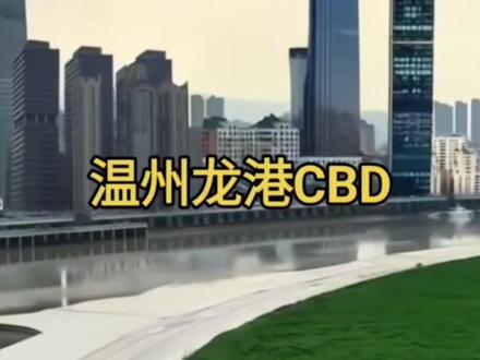 苍平龙一体化