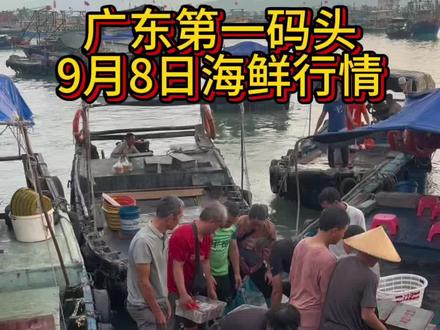 今日海鲜行情#海鲜捕捞 #码头海鲜 #真实的海鲜市场 #渔港码头海鲜行情