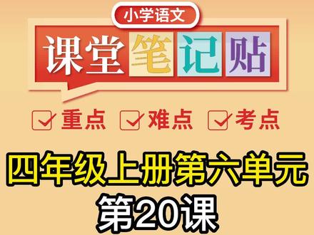 四年级第20课《陀螺》课文中的重要考点讲解(四)#小学语文 #四年级上册语文