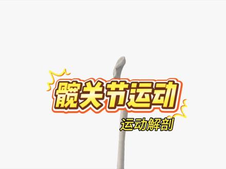 #上热门 #人体解剖学 #每天跟我涨知识 #运动解剖 #健康 髋关节介绍,内容仅限于知识分享无不良引导