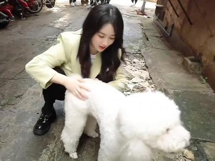 PIUPiU你被偷家了
哈哈哈哈哈哈哈哈😂
#杨紫