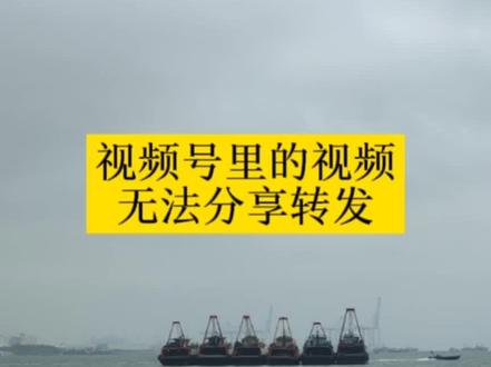 #视频号 #微信 微信视频号的视频无法分享无法转发怎么设置