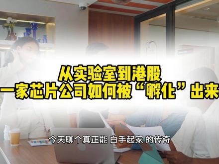 孵化器真能当“零成本研发部”?一家芯片公司的上市之路 #创业 #孵化器 #硬科技 #商业思维 #创业心得