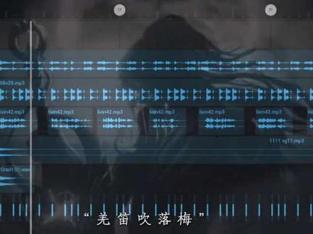 羌笛吹落梅 让人分不清异乡和故里
#海海海 #混音 #旋律 #李信 #王者荣耀