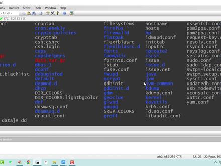 每天一个Linux小案例:使用dd命令无损备份硬盘数据 #linux备份 #linux下dd命令