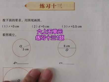 六上五单元圆练习十三画圆#数学思维 #小升初